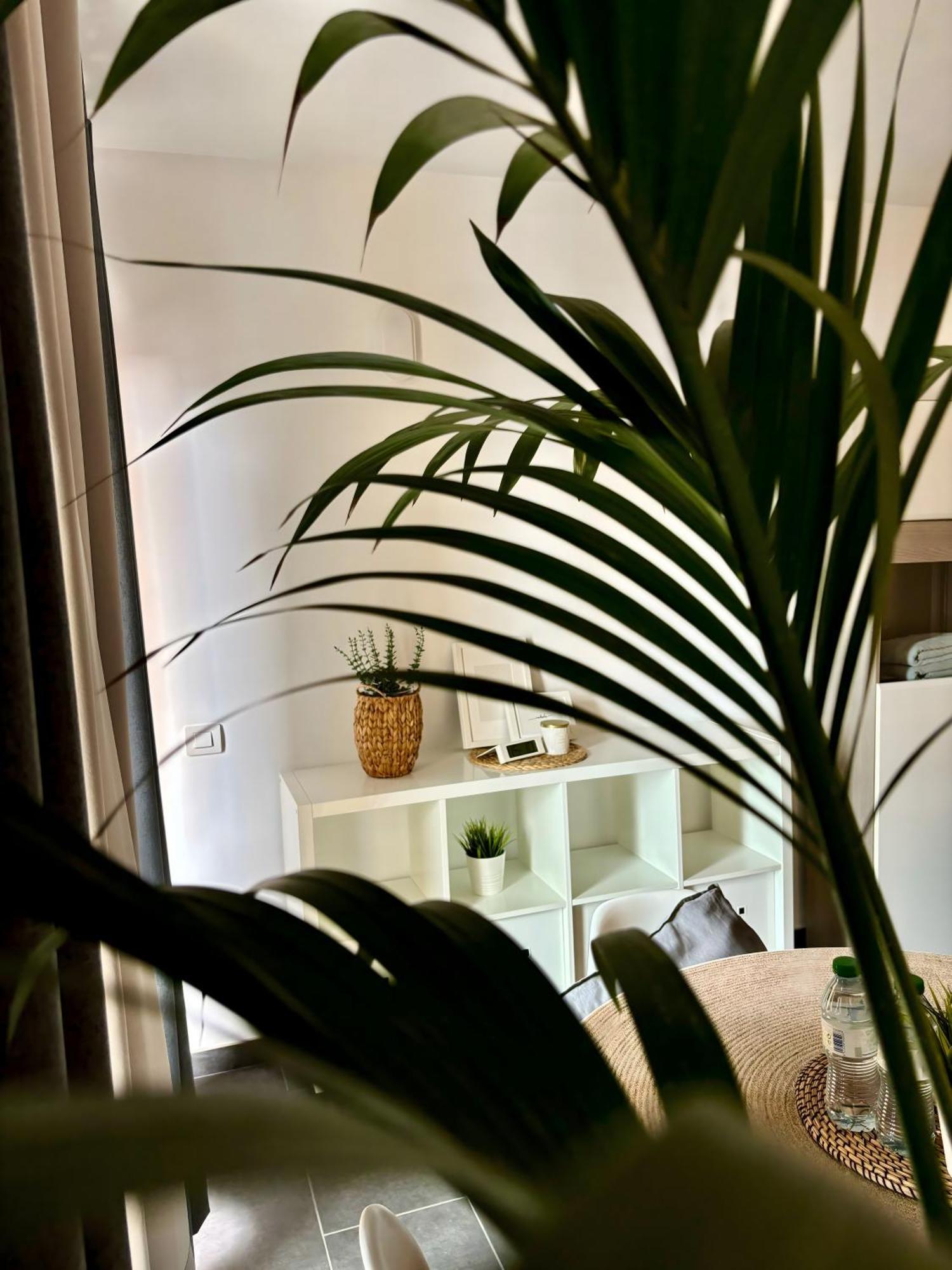 Marina Suites Tenerife Puerto de la Cruz  Exteriör bild