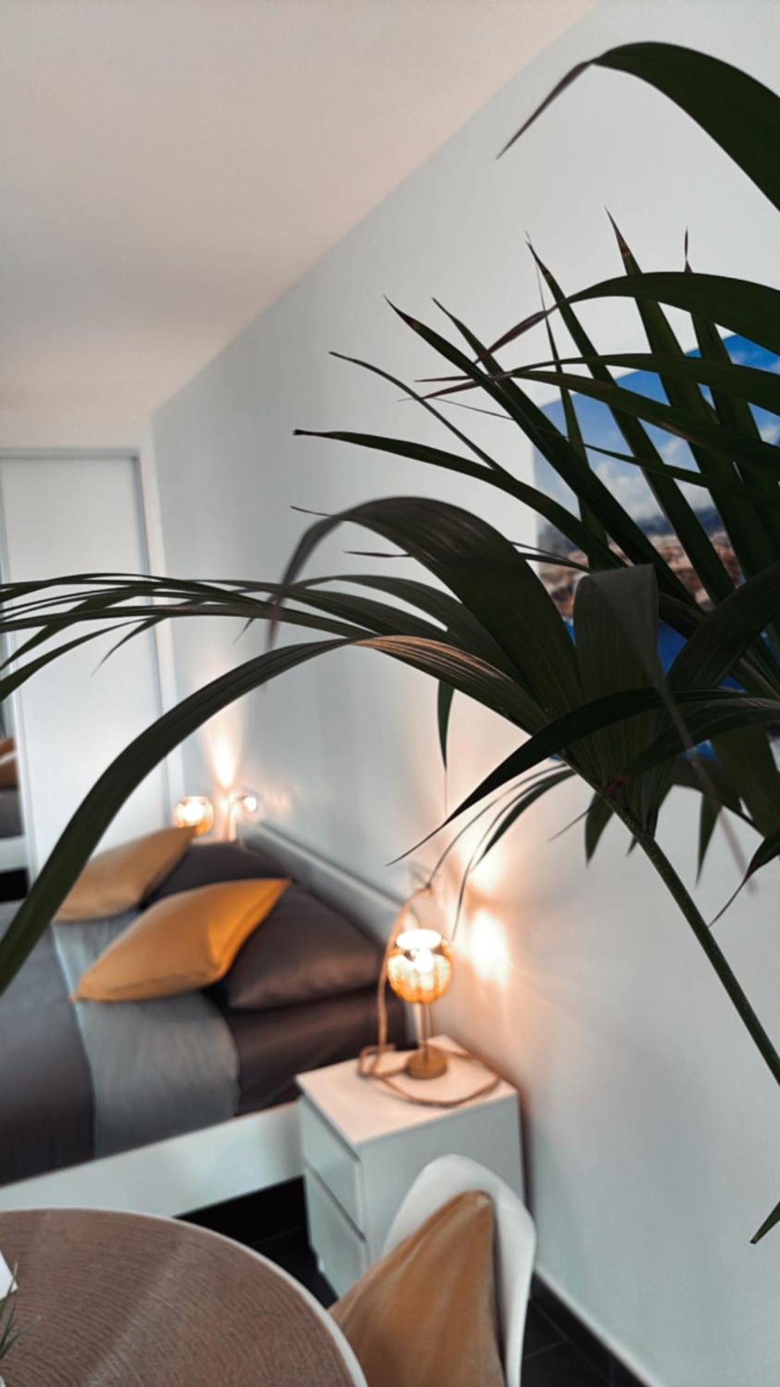 Marina Suites Tenerife Puerto de la Cruz  Exteriör bild
